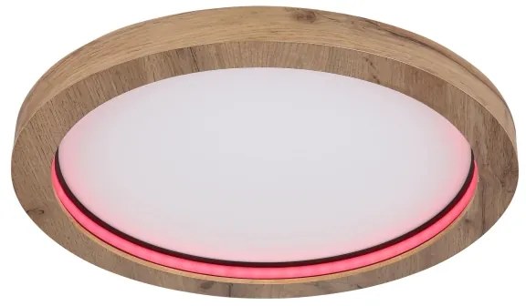 Globo 41374-24R - LED RGBW Stmievateľné stropné svietidlo BRANZA LED/24W/230V + DO