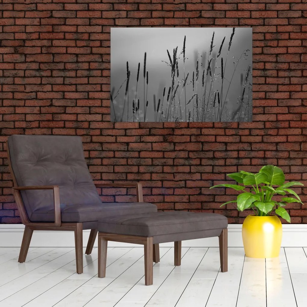 Obraz - Steblá trávy (90x60 cm)