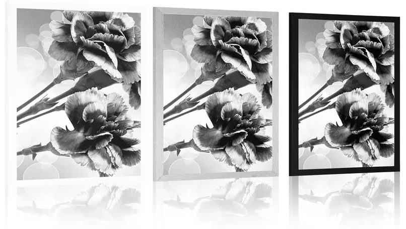 Plagát kvet karafiátu v čiernobielom prevedení - 60x90 black