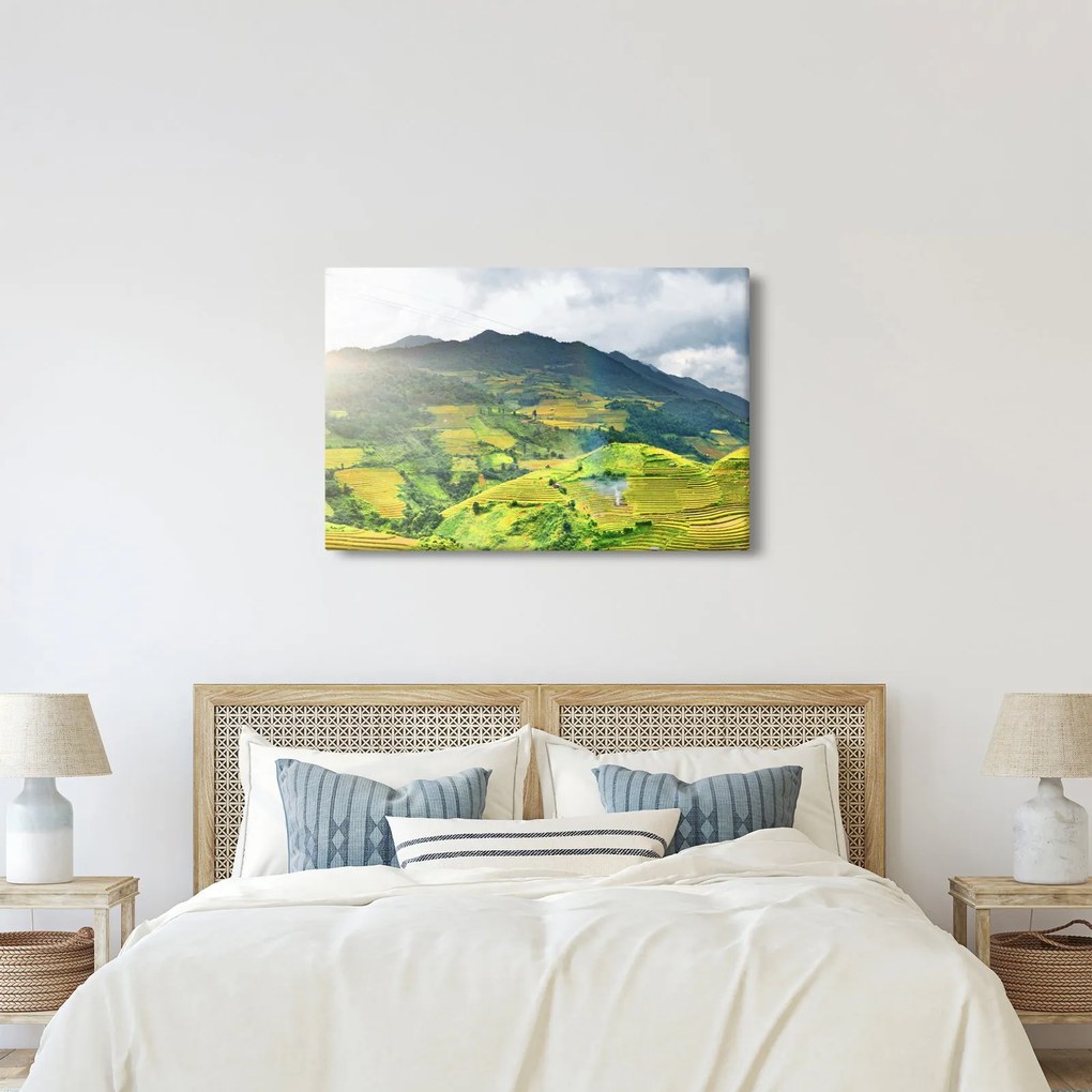Obraz plantáže (90x60 cm)