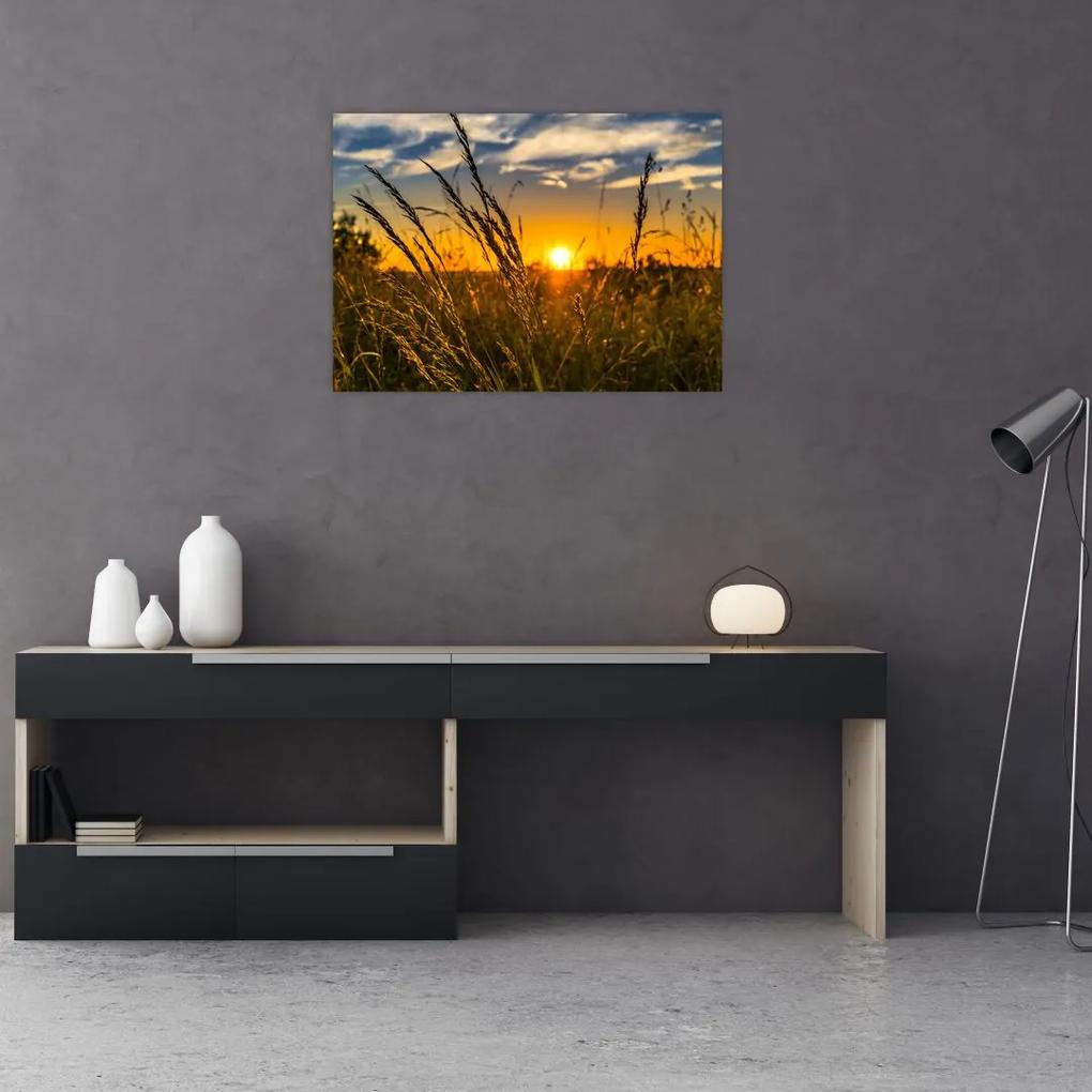 Sklenený obraz pole pri západe slnka (70x50 cm)