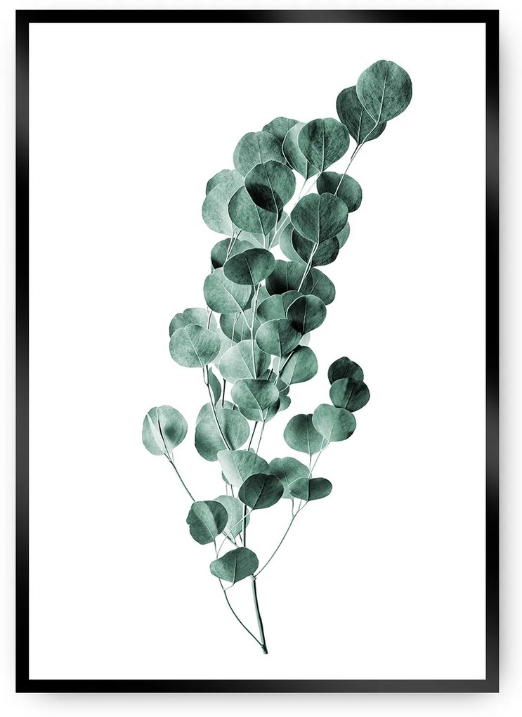 Plagát Eucalyptus Emerald Green