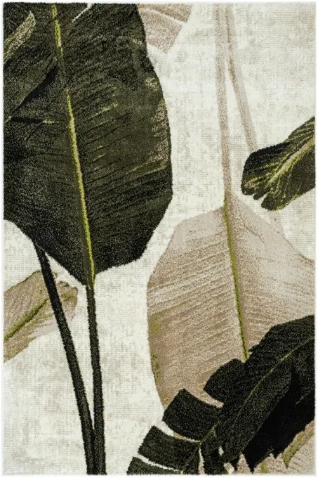 Koberec CLARA 02777A krémový / zelený