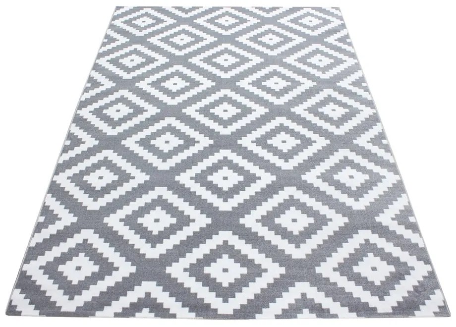 Svetlosivý koberec 160x230 cm Plus – Ayyildiz Carpets