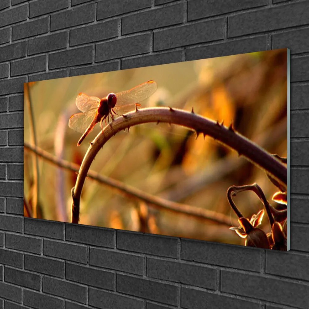 Obraz na skle Vážka príroda rastlina 125x50 cm