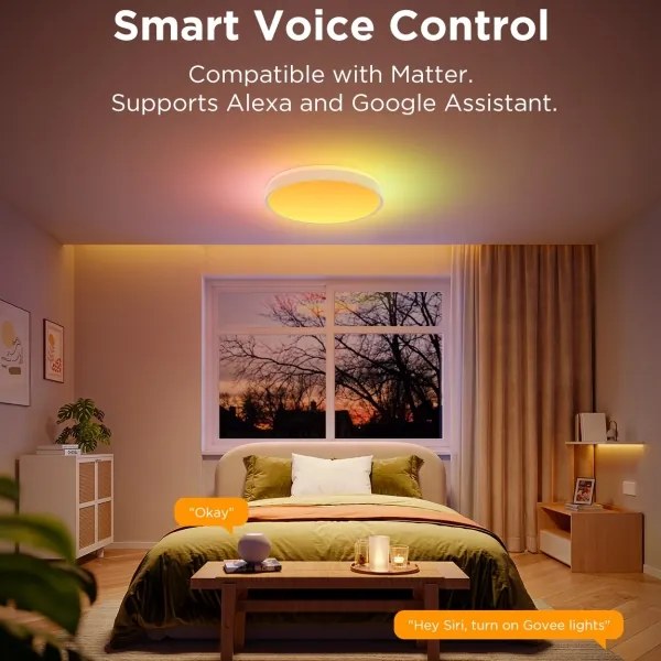 Govee - LED RGBIC Stmievateľné stropné svietidlo LED/49W/230V 2700-6500K Wi-Fi