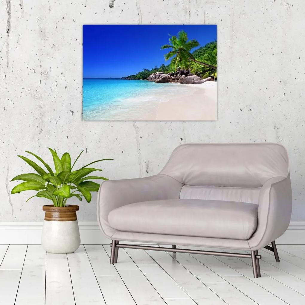 Sklenený obraz pláže na Praslin ostrove (70x50 cm)