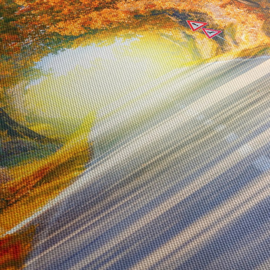 Obraz - Brána z korún stromov (90x60 cm)