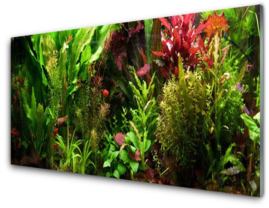 Skleneny obraz Rastlina kvety príroda 125x50 cm