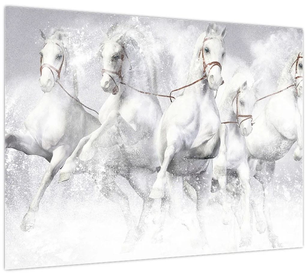 Obraz - Ilustrácie závodných koní (70x50 cm)