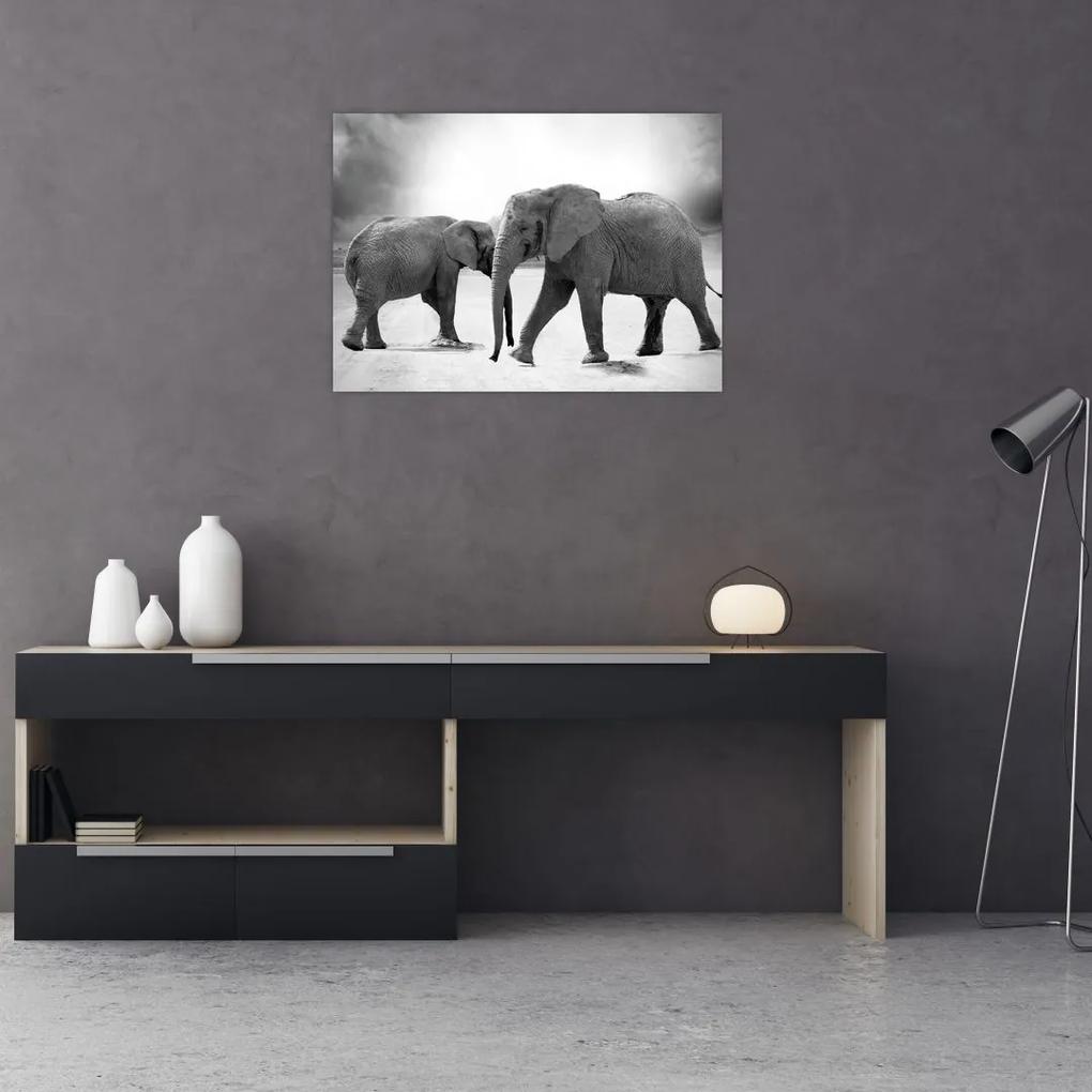 Sklenený obraz slonov (70x50 cm)