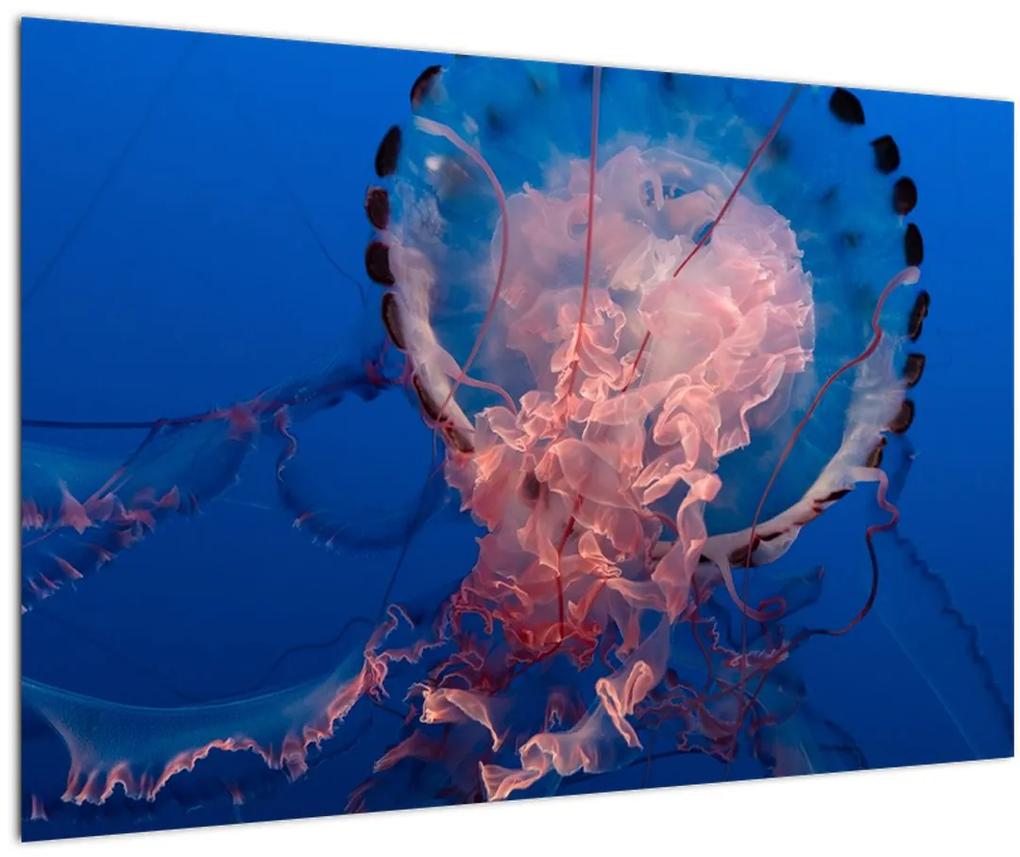 Obraz medúzy (90x60 cm)