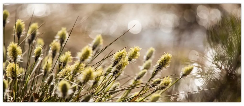 Obraz - Zeleň (120x50 cm)