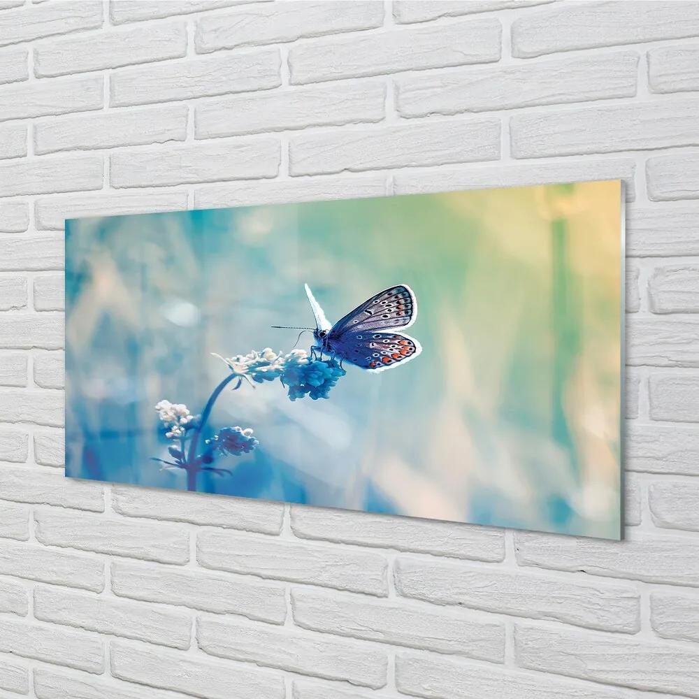 Sklenený obraz farebný motýľ 125x50 cm