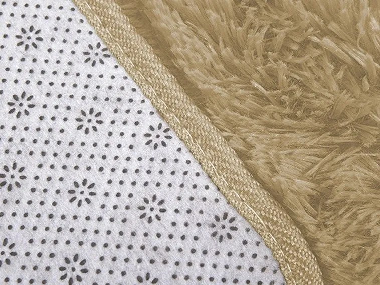 TZ Hnedý obdĺžnikový shaggy koberec Lana Rozmer: 250x350