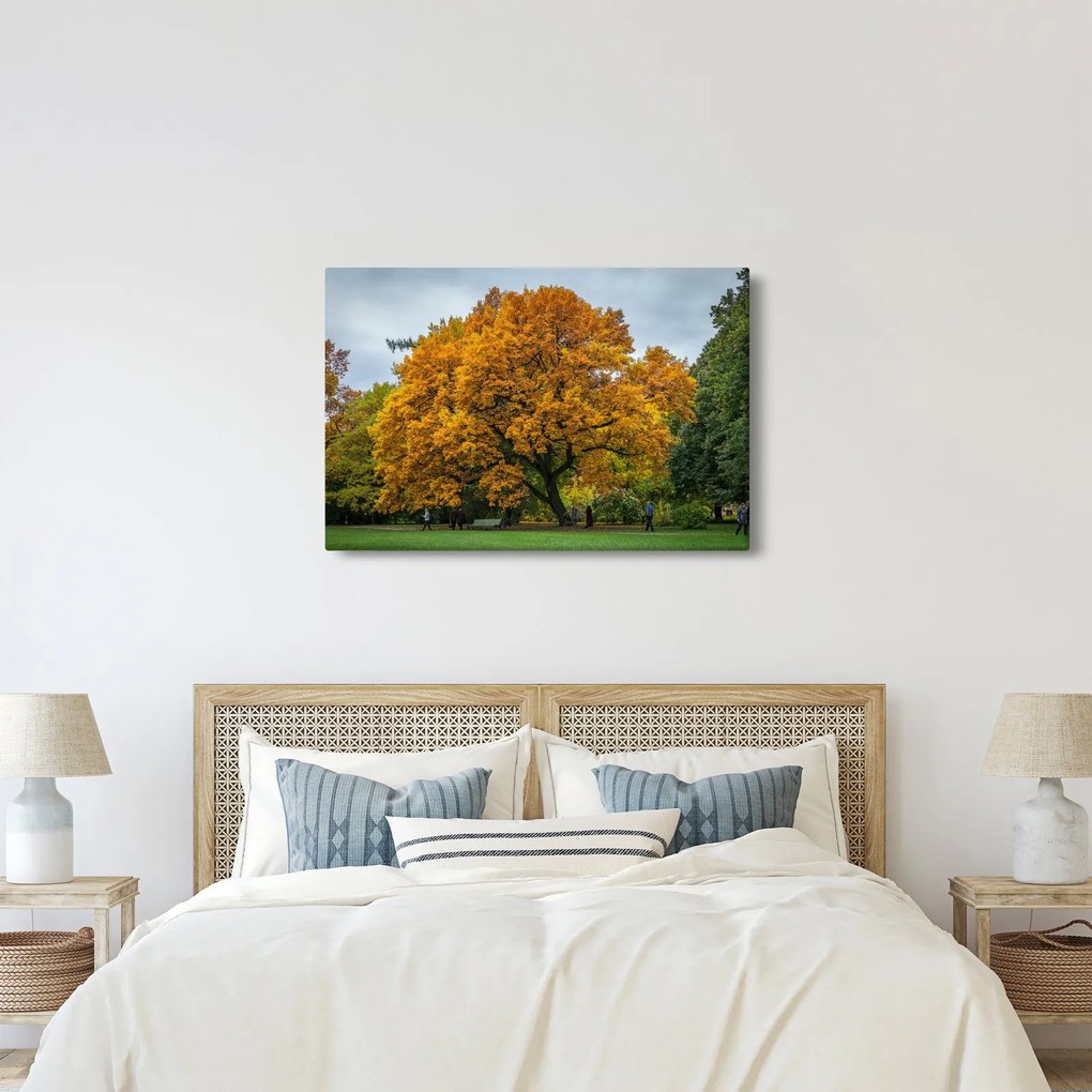 Obraz stromu (90x60 cm)