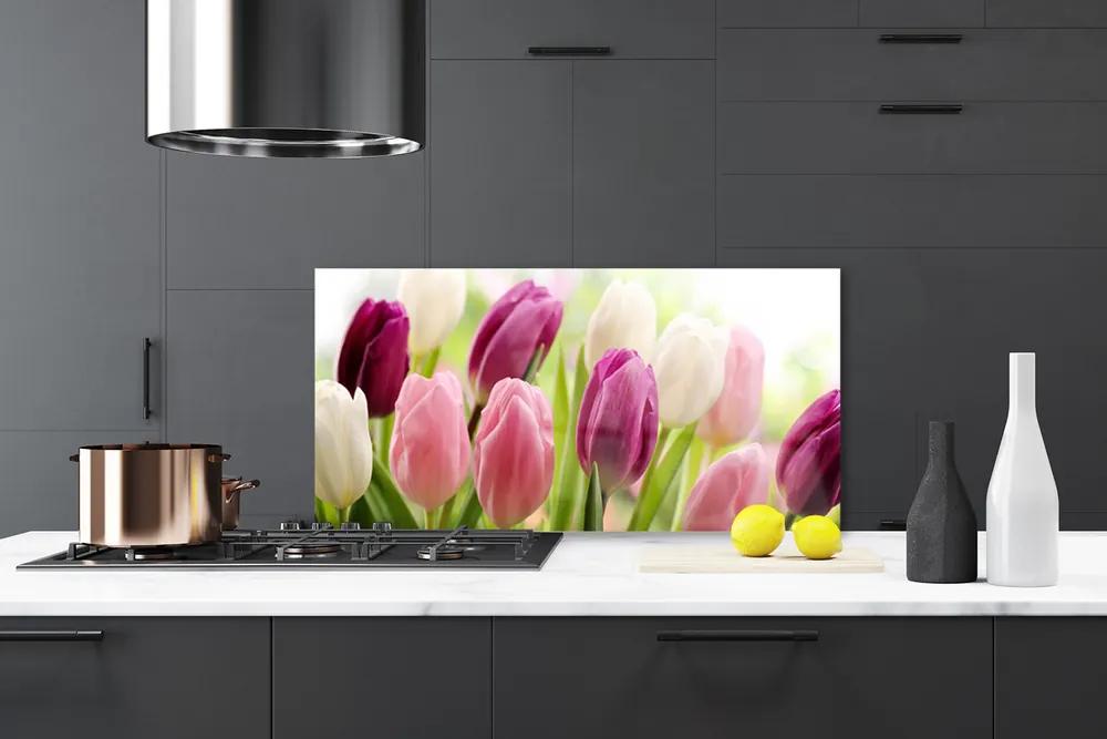 Sklenený obklad Do kuchyne Tulipány kvety príroda lúka 100x50 cm