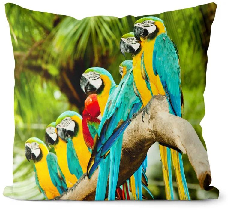 Vankúš Papagáje (Veľkosť: 55 x 55 cm)