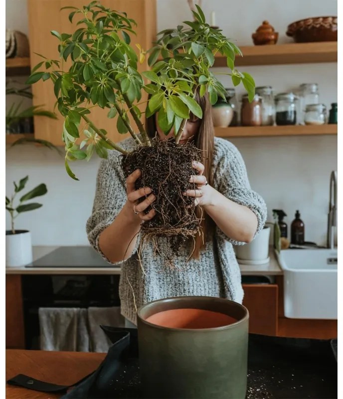 Kvetináč Moss XL, s miskou / sivozelený