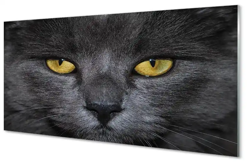 Sklenený obraz Čierna mačka 100x50cm | Biano
