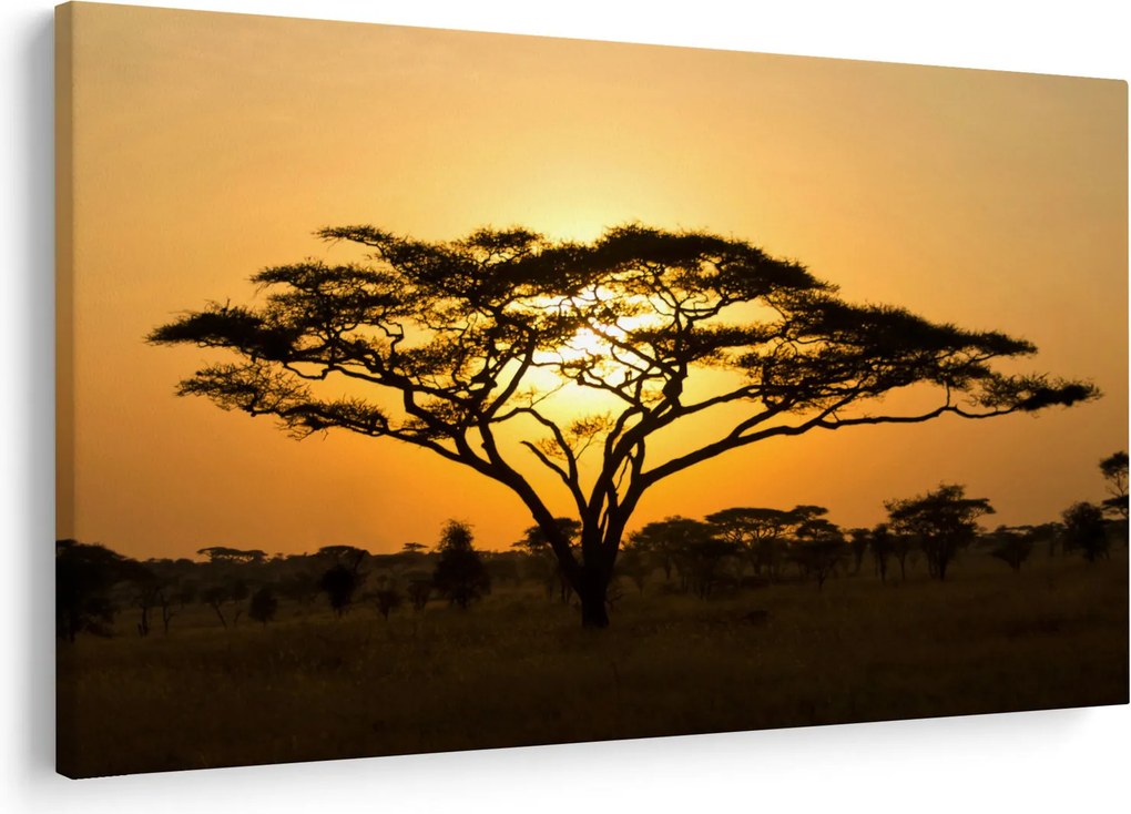 Obraz - Africká savana (90x60 cm)