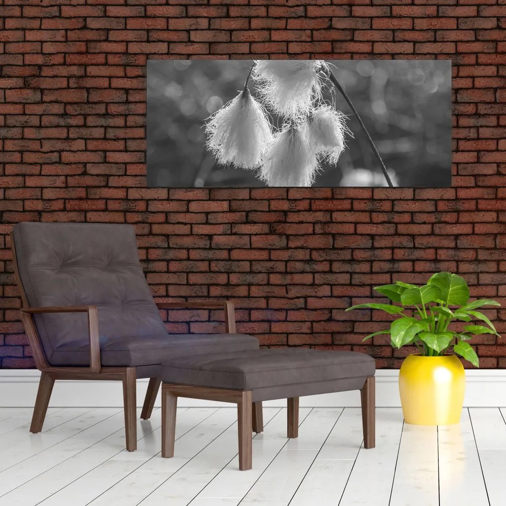 Obraz - Cottongrass (120x50 cm)