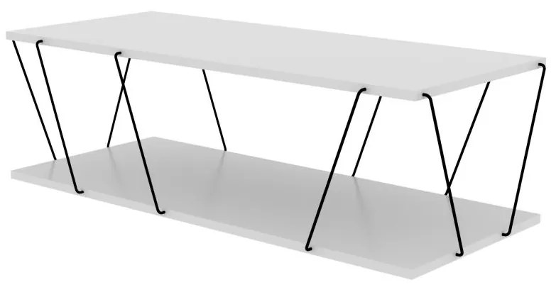Hanah Home -  Moderný konferenčný stolík CANAZ 120 cm, MDF, biely, čierny
