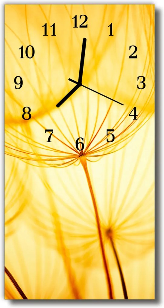 Sklenené hodiny vertikálne  Kvety Púpava žltá