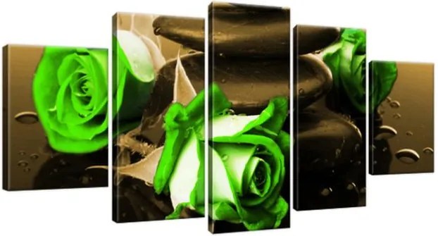 Obraz na plátne Zelené ruže a kamene 150x70cm 1423A_5B