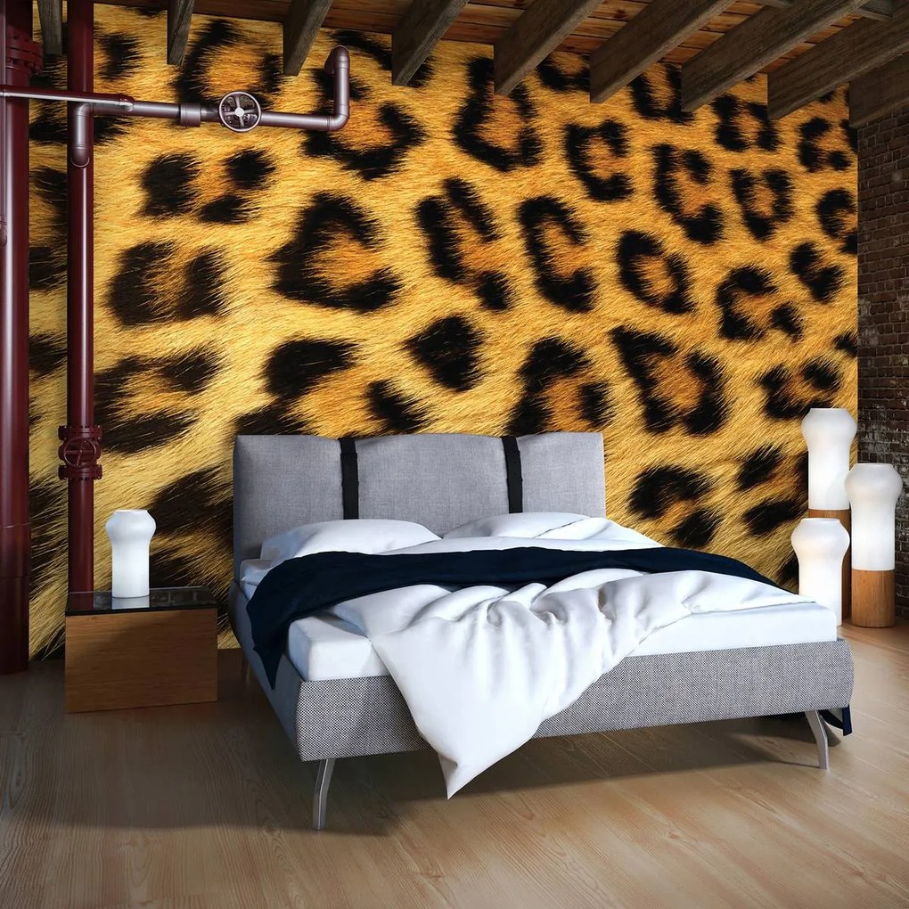 Fototapeta - Leopardia srsť (254x184 cm)