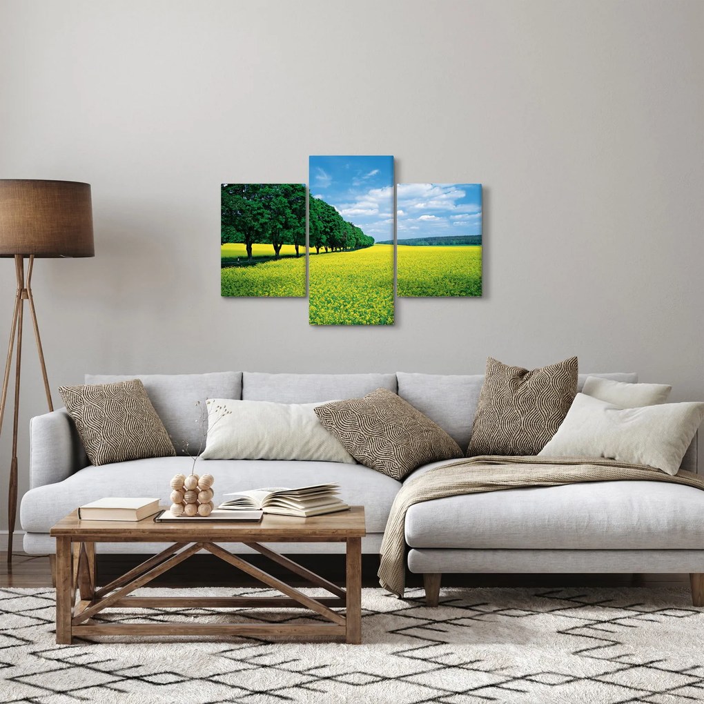 Obraz poľa s alejou (90x60 cm)
