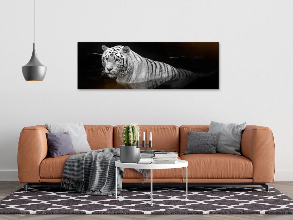 Artgeist Obraz - Shining Tiger (1 Part) Orange Narrow Veľkosť: 135x45, Verzia: Premium Print