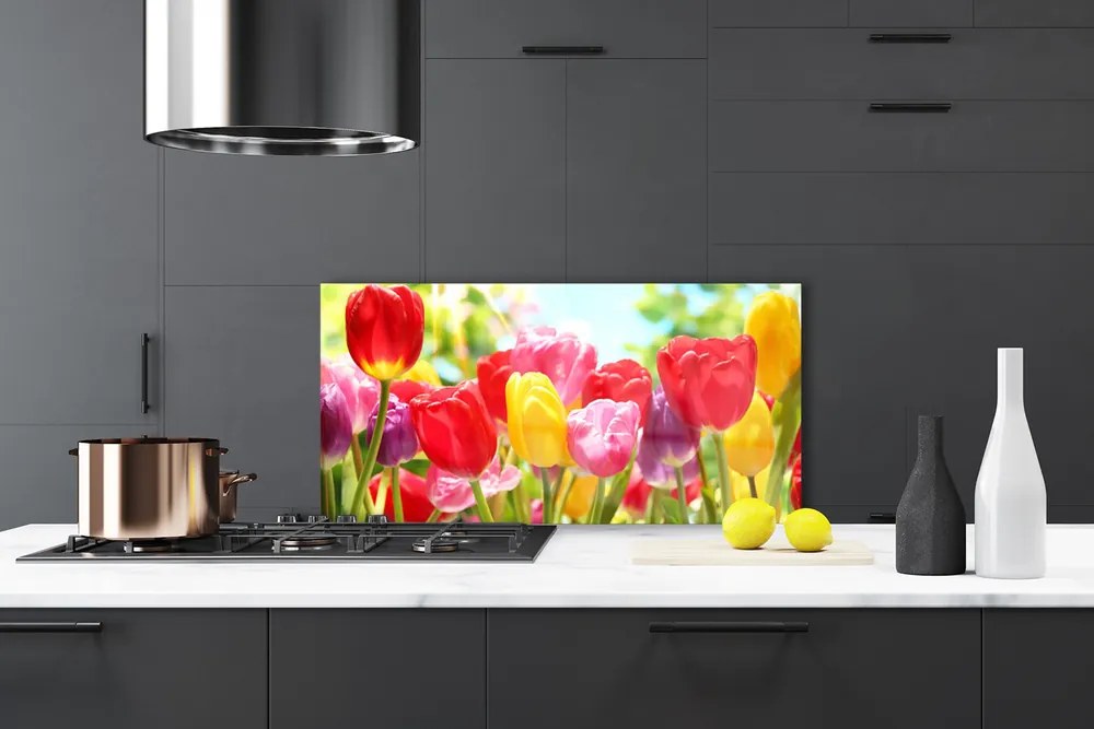 Sklenený obklad Do kuchyne Tulipány kvety rastlina 120x60 cm