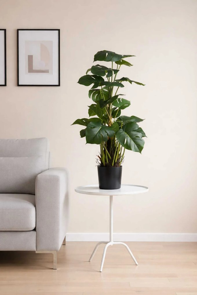 Umelá rastlina v kvetináči MONSTERA, plast, výška 85 cm, zelená
