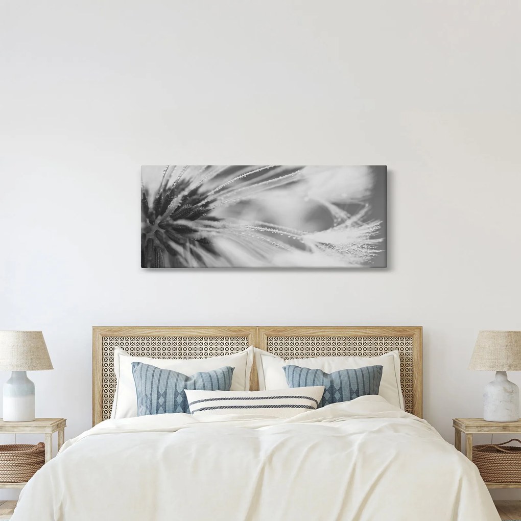 Obraz - Púpava (120x50 cm)