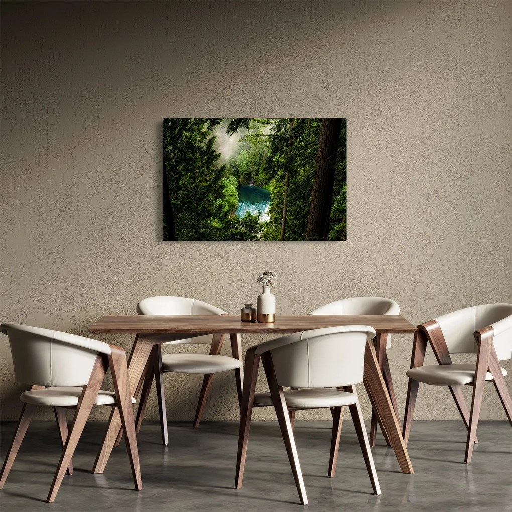 Obraz - Priezor medzi stromami (90x60 cm)