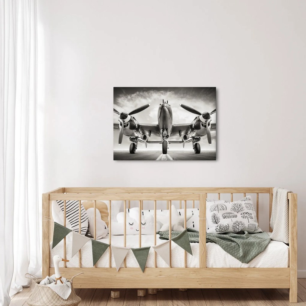 Obraz - Warbird (70x50 cm)