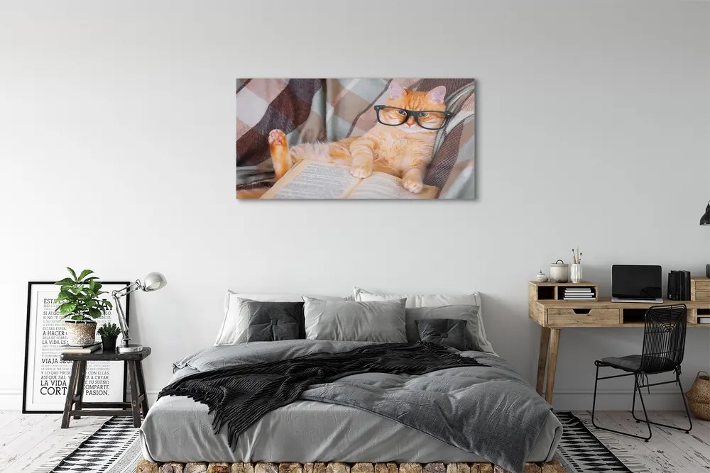 Obraz na akrylátovom skle Čitateľ cat 125x50 cm