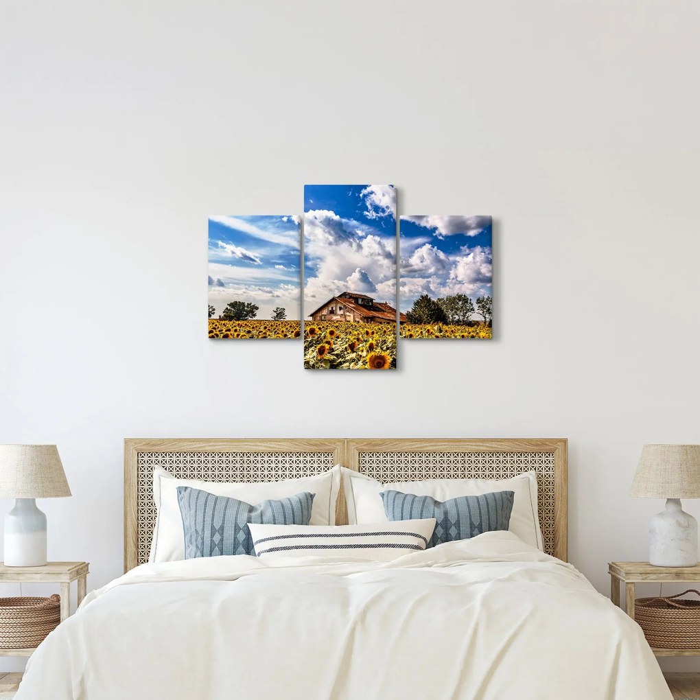 Obraz slnečnicového poľa (90x60 cm)