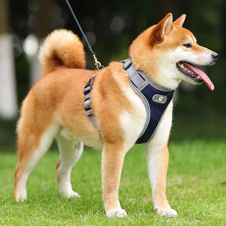 Postroj pre psov Astro XL tmavomodrý