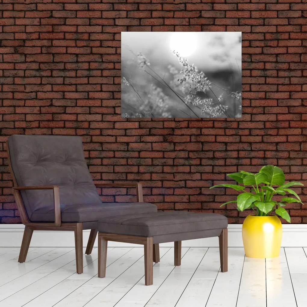 Obraz - Jesenná lúka (70x50 cm)