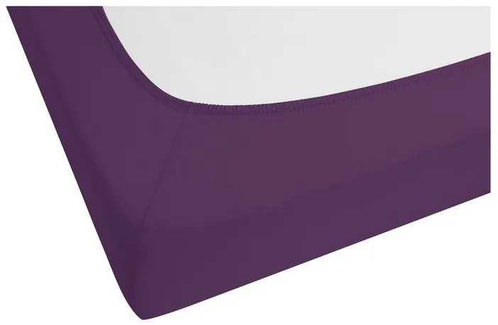 Biberna Napínacia džersejová plachta (fialová, 180 – 200 x 200 cm)  (100227068)