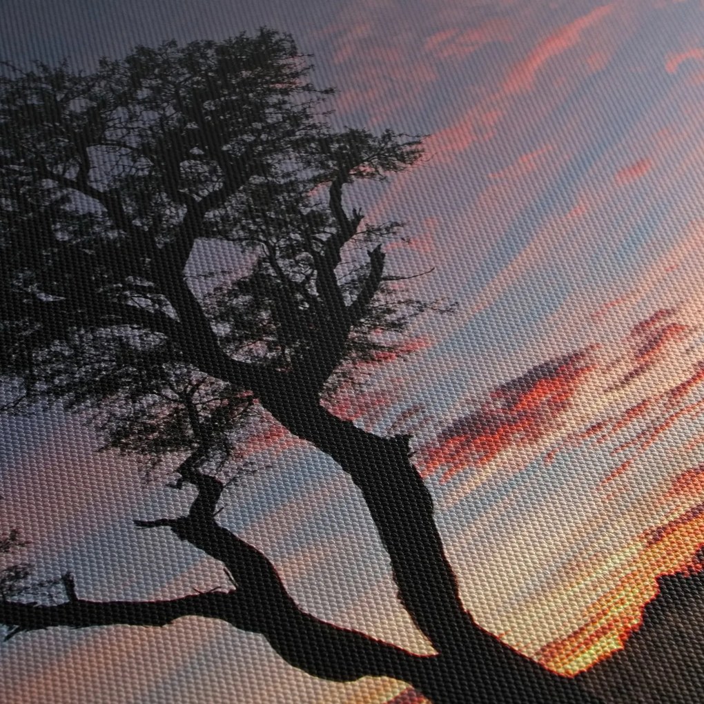 Obraz - Strom a červánky (120x50 cm)