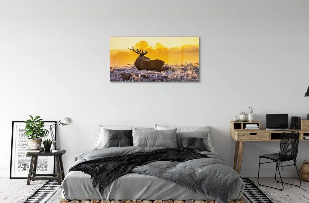 Sklenený obraz Jeleň zimné slnko 140x70 cm