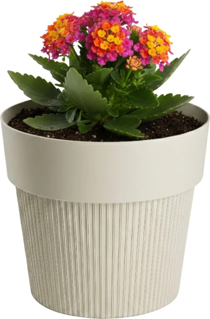 PLASTOVÝ KVETINÁČ SILVA LINE 13X11,5 CM BÉŽOVÁ