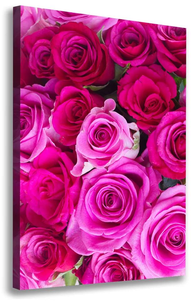 Foto obraz na plátne do obývačky Ružové ruže pl-oc-70x100-f-119338760