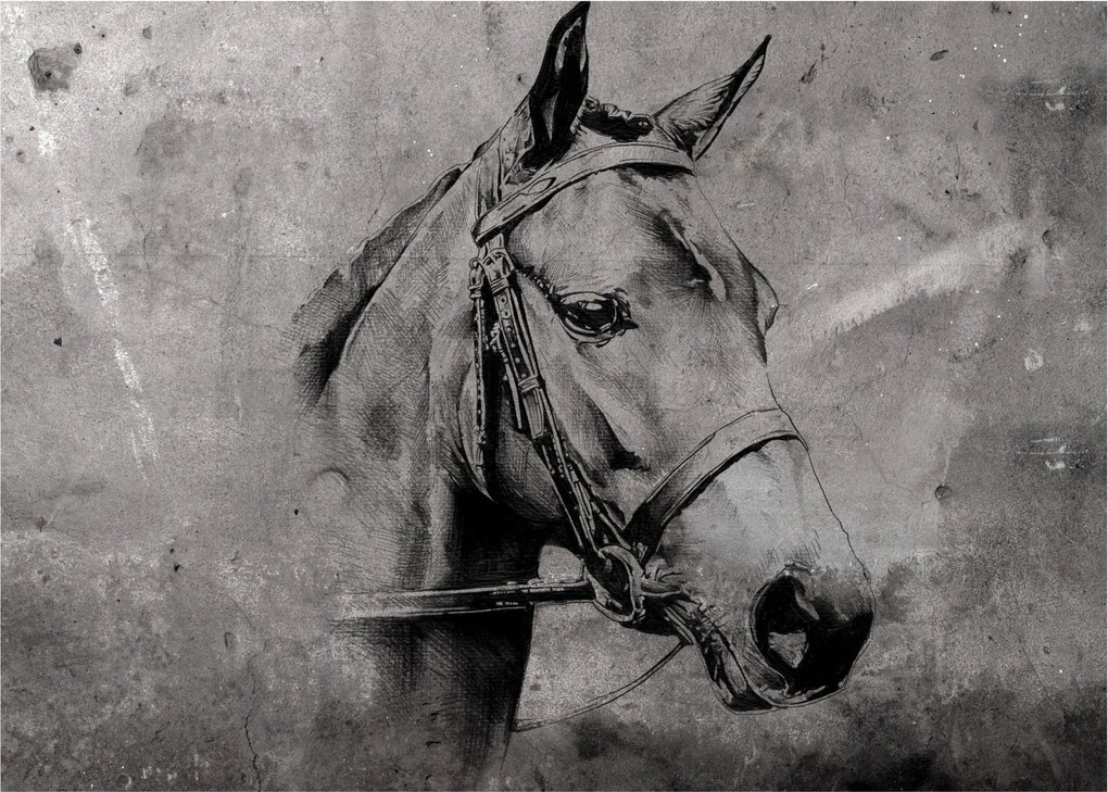Obraz - Portrét koňa (70x50 cm)