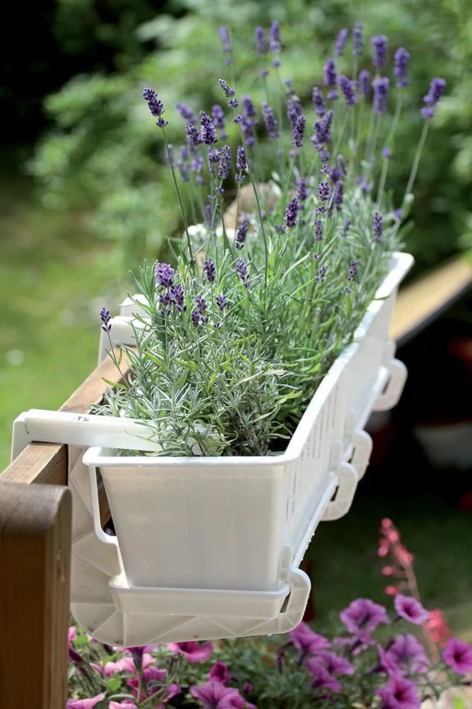 Truhlík ARGO antracit