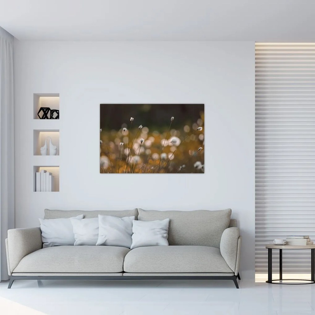Obraz - Lúka s cottongrass N⁰2 (90x60 cm)