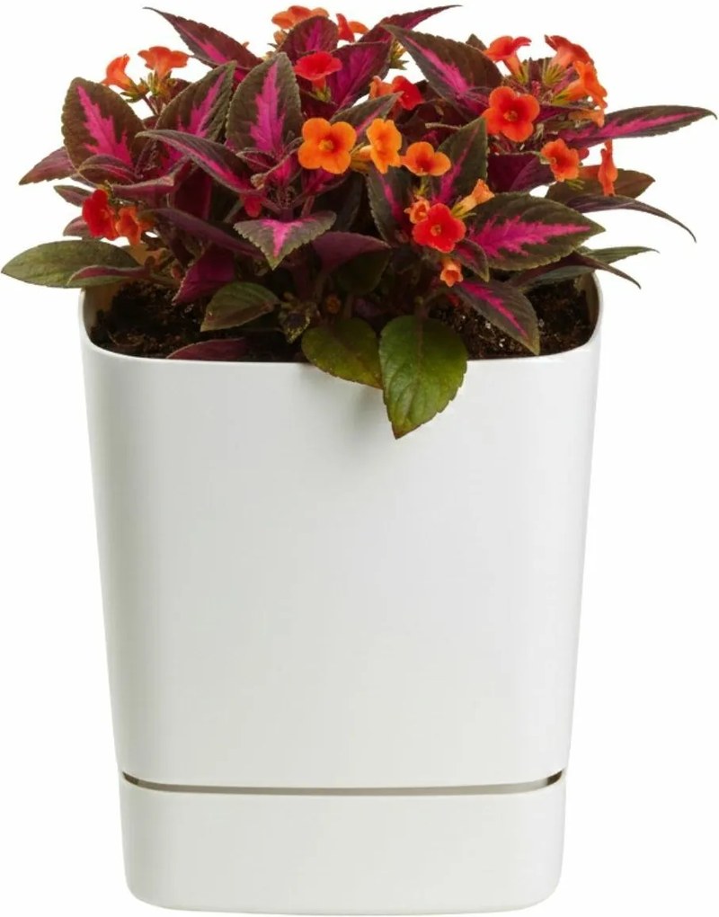 Plastový květináč s podmiskou Cubi 19x19 cm - výber z 6 prevedení